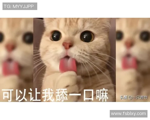 足球明星与猫猫的可爱互动视频让你心动不已快来一起欣赏吧